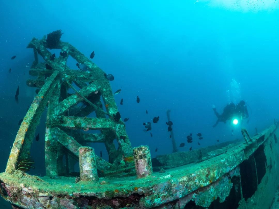 去探索海底沉船的秘密去看大自然的神奇造就地震废墟"海底村庄"古文化