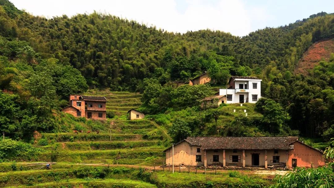 自昌山旅游开发项目提出以来,青山桥镇落实县委,县政府有关指示精神