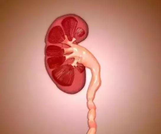 男人肾健康自我检测法:这5个"特征"一条都不占,说明肾算年轻