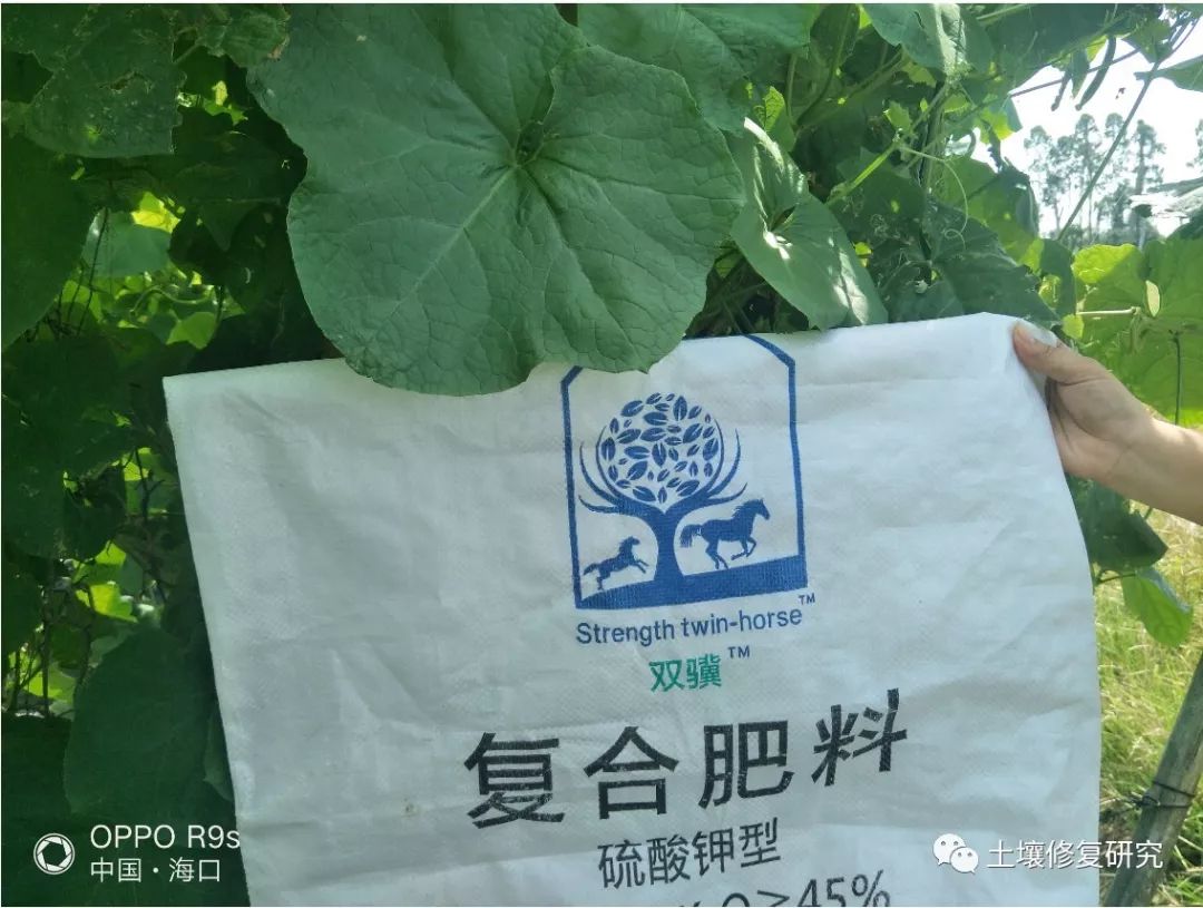 精品农资挪威鲍利葛ca双骥特种肥有香味的特肥越来越多的农户认可的特