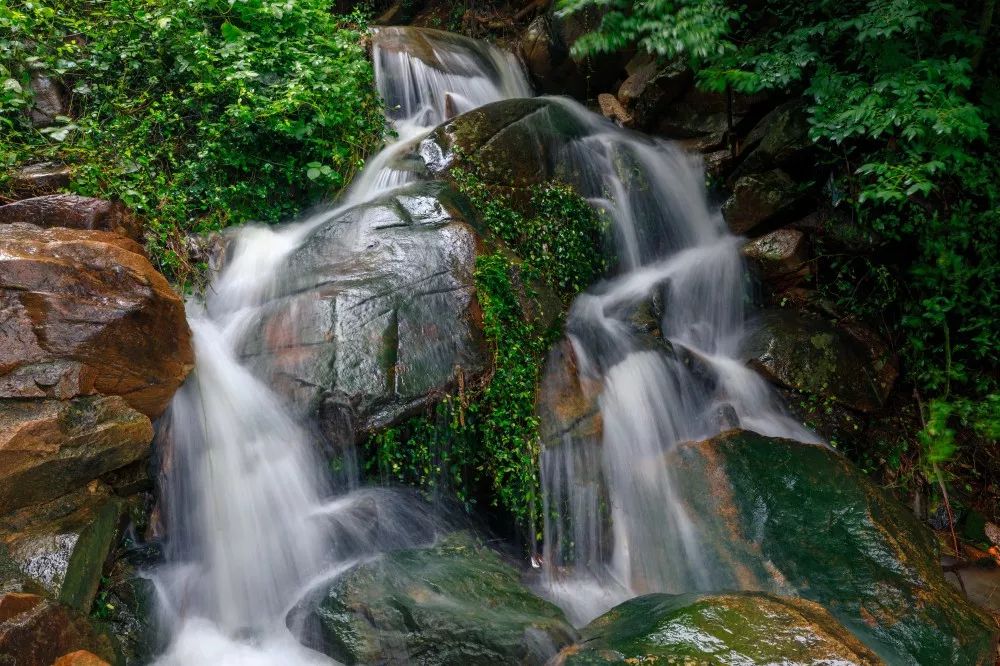 水墨畫裡夏天的雨來的急去的也快雨後初晴的花果山鬱郁森森此時星星