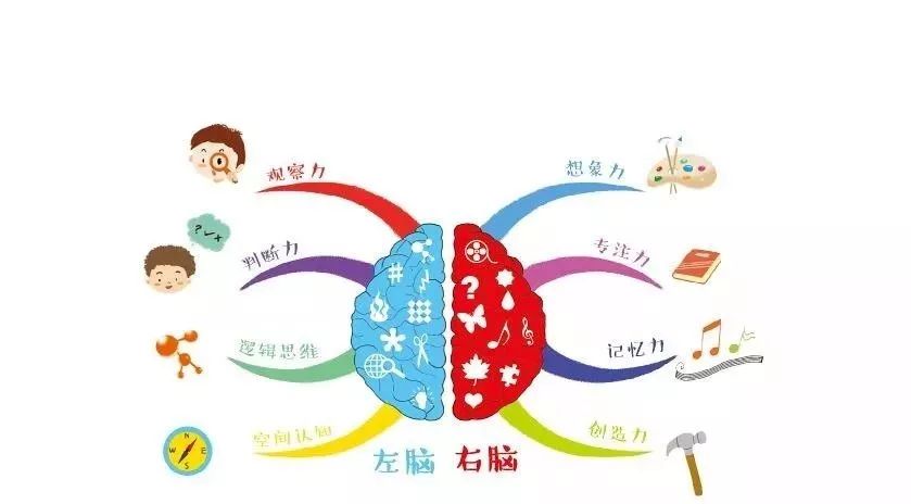 美芽优选丨专门针对学龄前儿童的思维导图入门书一看就会的思维导图