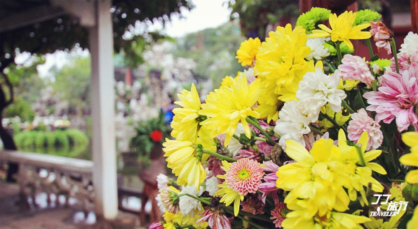 江苏花卉市场批发市场