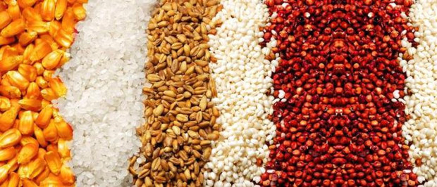 多多益善对于酿酒原料单粮酿造和多粮酿造到底哪家强