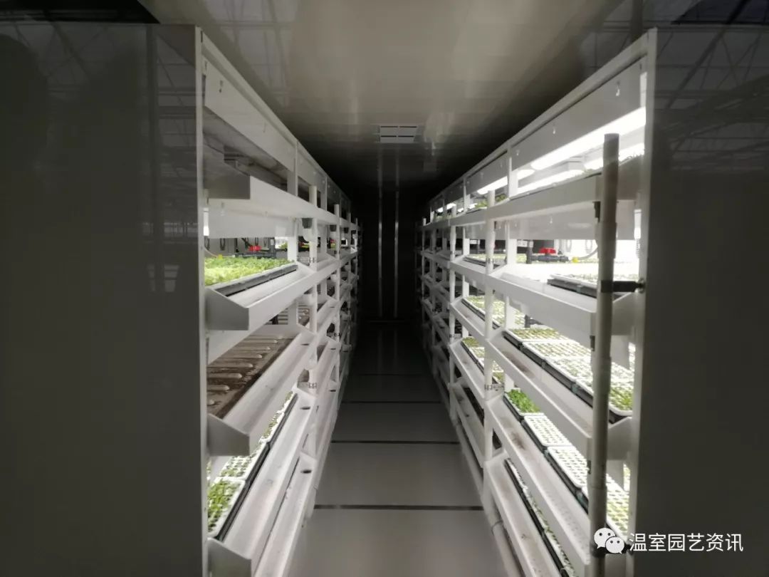 探秘京东植物工厂:产销一体化,破解农产品销售难题!_温室
