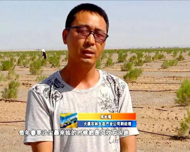 大漠农林生态产业公司副经理何长海:"这个地方离双树村的居民点只有几