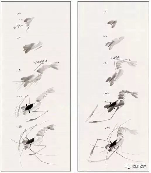 国画教程写意虾的图文示范教程