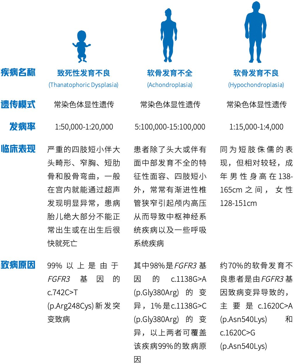 侏儒症有超过300种,其中软骨发育不全是最常见的侏儒症类型[1],软骨