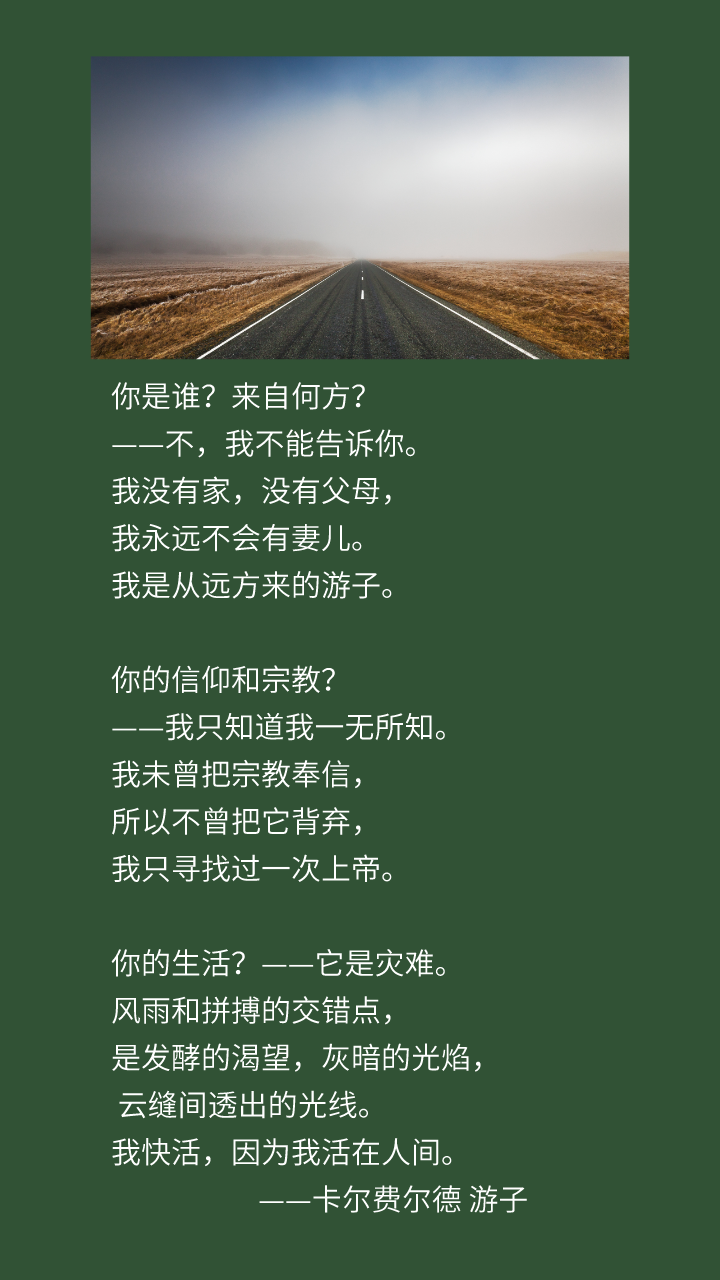 蝶兰花蝶兰花哟,爱之花,从你身上维纳斯歌唱着飘然走过.