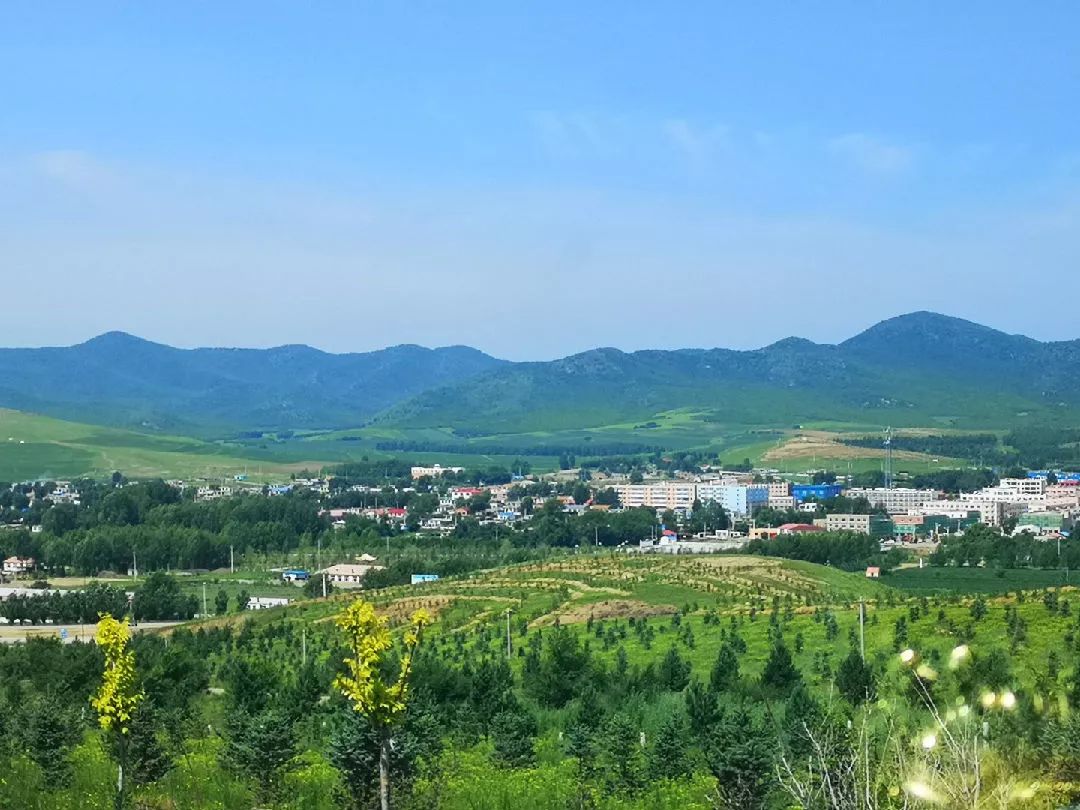 乡村振兴丨扎旗胡尔勒镇森林里种下蒙欧小镇