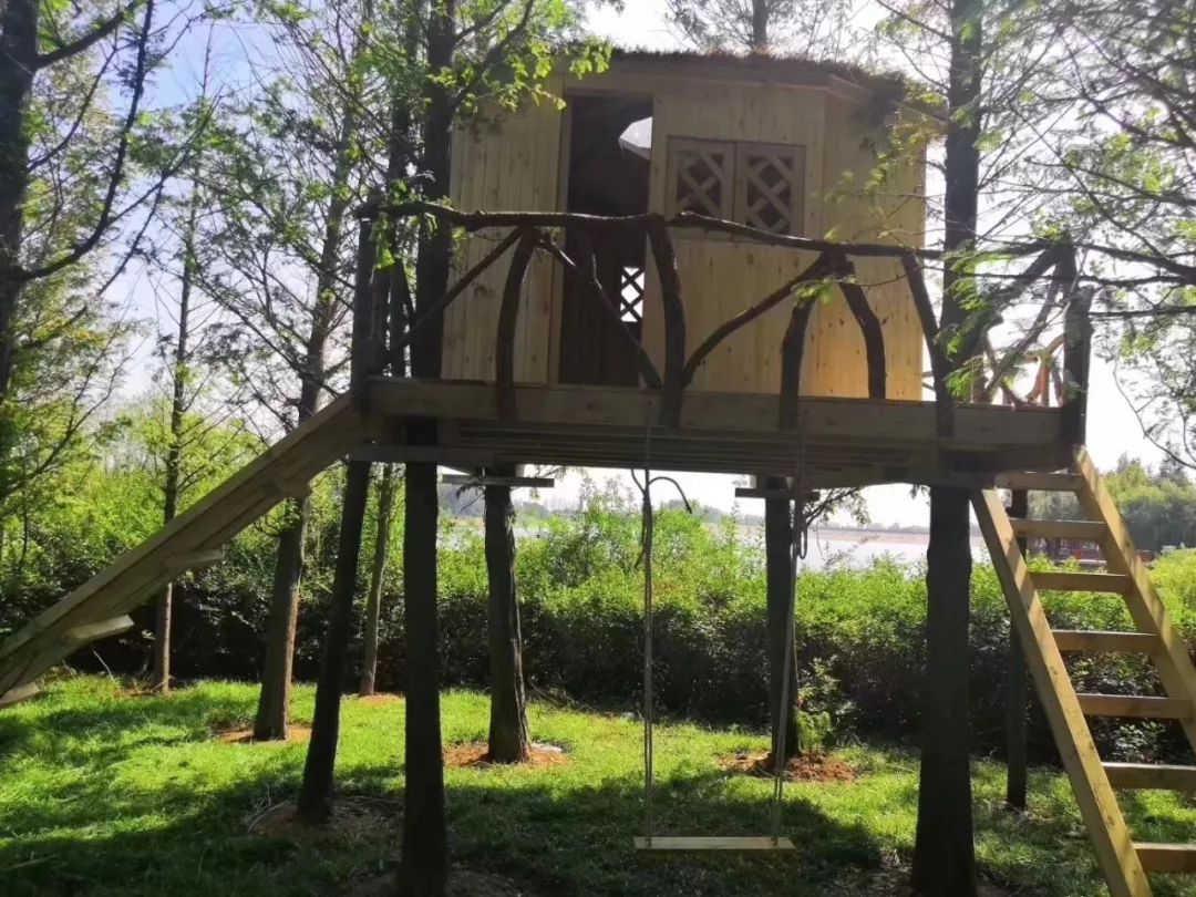 森林树屋营回顾探秘自然的心灵之旅享受纯正的森林自然教育