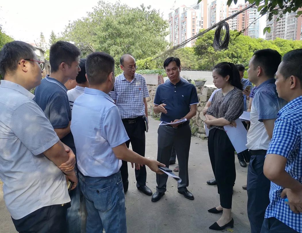 南安市委常委,宣传部部长吴忠溪,市政府副市长王昭昭带队调研南安文庙