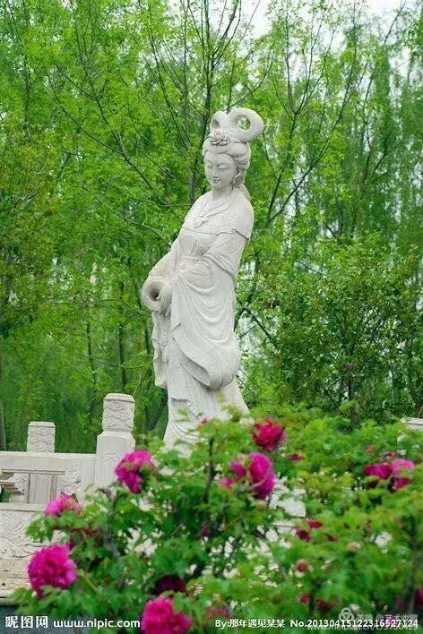 唯有牡丹真国色,请为洛阳牡丹评国花投上一票