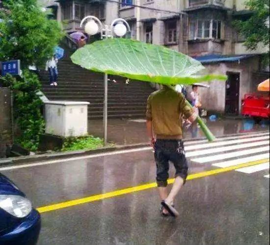 淋成落湯雞上網搜索遮雨神器差點笑昏過去