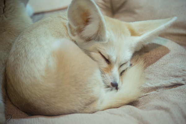原创这个盛夏带着萌娃去不要门票的越里,过一个不一样的童玩节