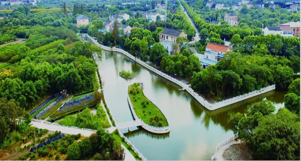 最美河道丨湟里镇这一片梦里水乡,邀您共赏