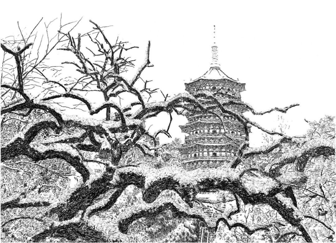 雷峰塔▲牡丹园▲灵隐寺▲断桥▲杭州·韩美林艺术馆张建庭先生的
