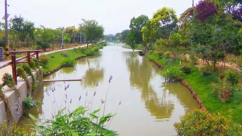 最美河道丨湟里镇这一片梦里水乡,邀您共赏