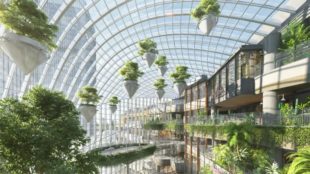 国内罕见的室内城市森林:重庆光环购物公园缘何成为体验型商业争抢的