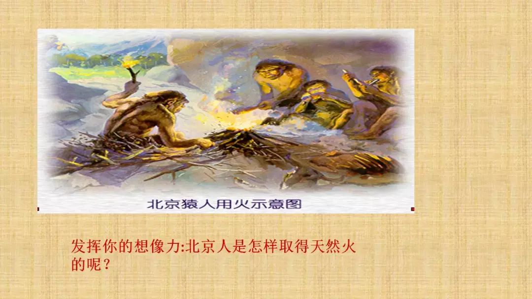 课件 | 七年级上册第一课《中国早期人类的代表—北京人》课件