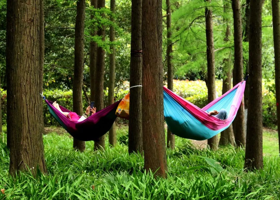 吊床度假,森林氧吧.安排!