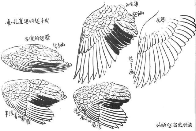 孙其峰画孔雀的技法