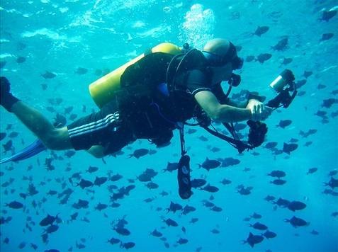 意大利蛙人偷袭了两艘战列舰,并将这两艘战列舰炸掉