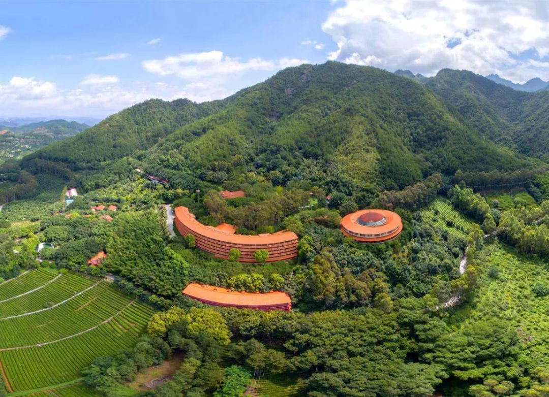 雁南飞茶田景区美丽风景撩人心醉01风味独特的客家佳肴在这里凝练绚丽