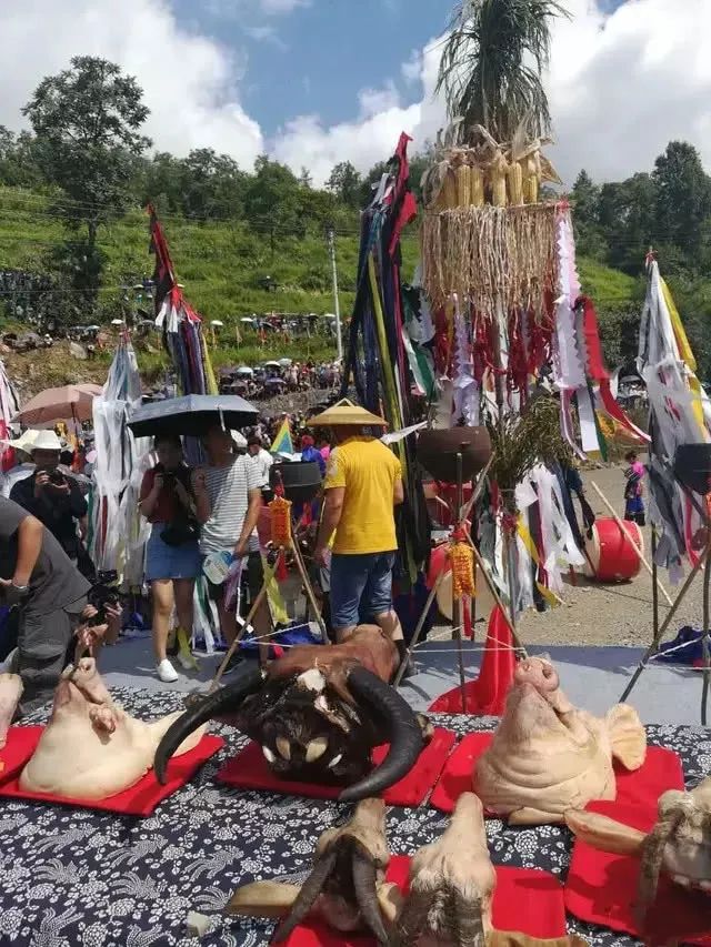 苗族赶秋节文化之十:揭秘椎牛祭大祖仪式_活动