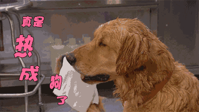 400_225gif 动态图 动图