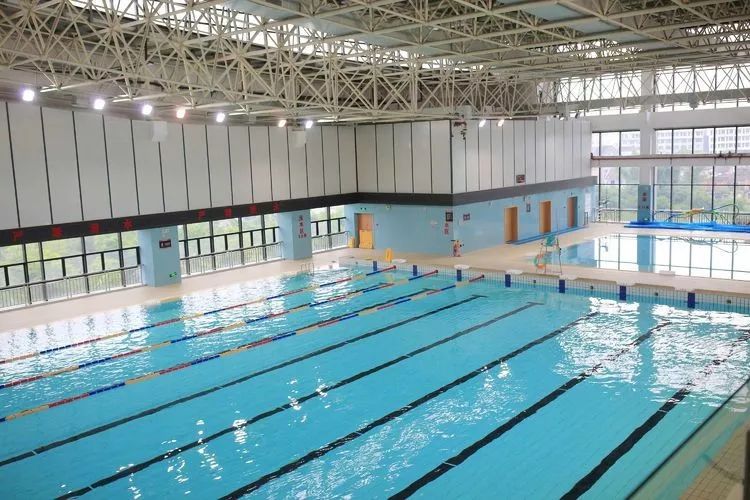 避暑好去处龙港体育馆游泳中心