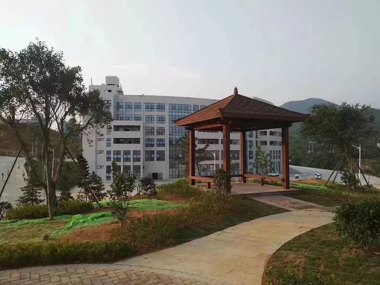 福建经贸学校洛江区图片