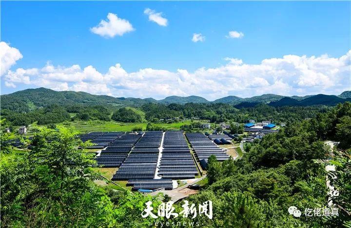 道真:香菇产业"裂变"式发展_何先权