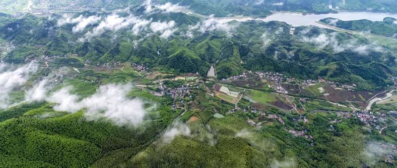 这一天,醉倒在畲族山哈家门口._报福镇