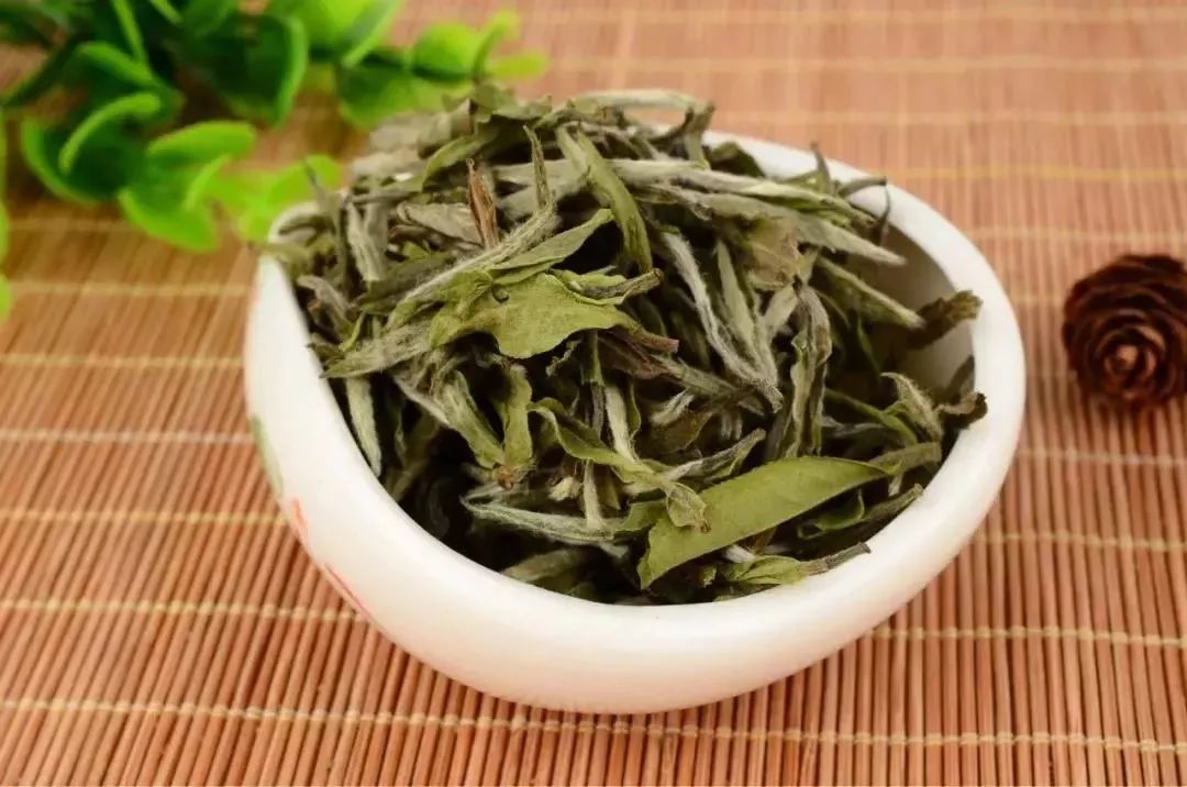 您的白茶入门指南