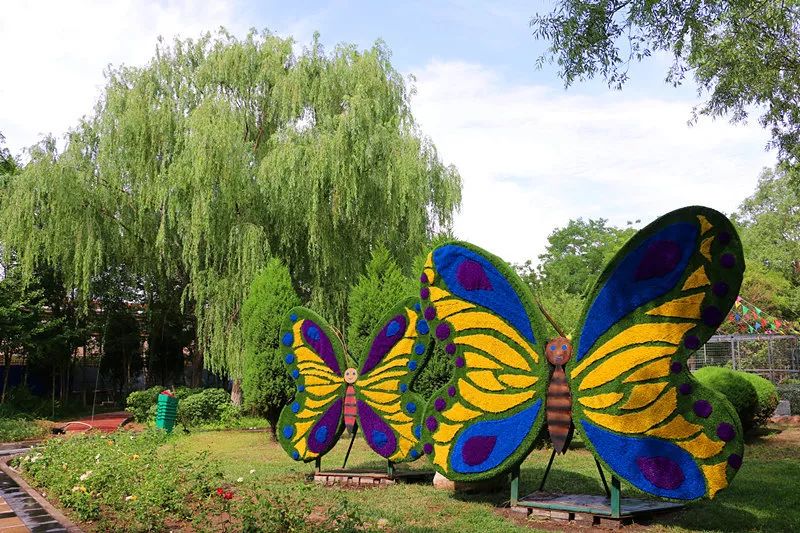 500张门票免费送金昌首家百鸟园本周日盛大开园只等你来