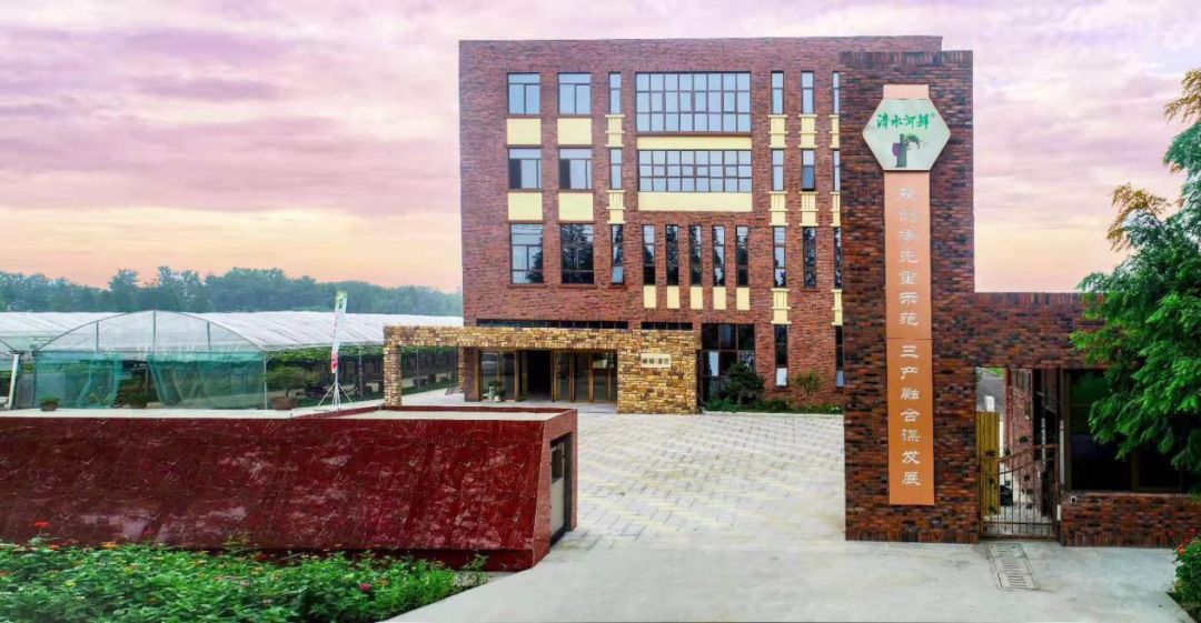 相约庐江果然很美台创园第六届提子采摘节盛大开幕啦