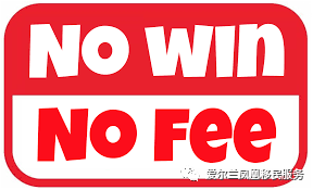 爱尔兰籍partner同居身份申请defactorelationship