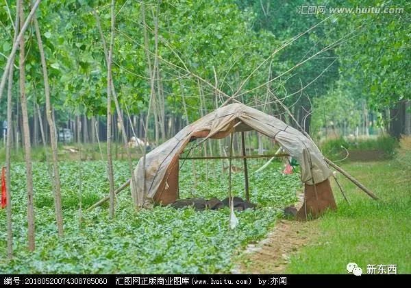 黄石文坛67华绍银的散文瓜窝棚