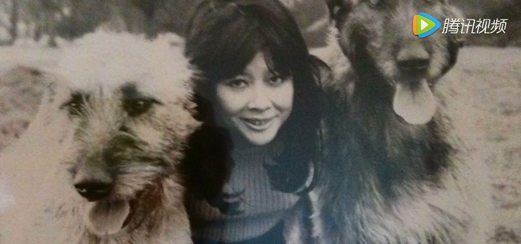 不认输的周采芹,争气的周采芹,终于通过自己的努力狠狠打脸了不看好她