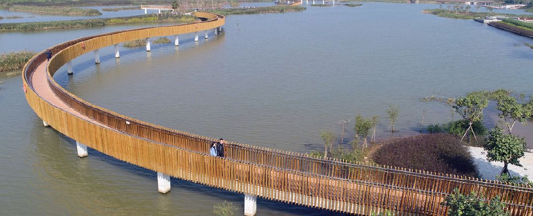 金湾地名故事⑧|大门口水道湿地公园:天然"养肺"的好去处