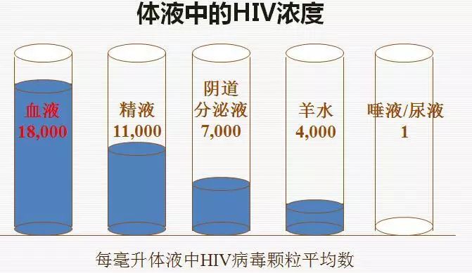 其中血液中的病毒浓度最高,达到18000个/毫升,其次为精液和阴道分泌物