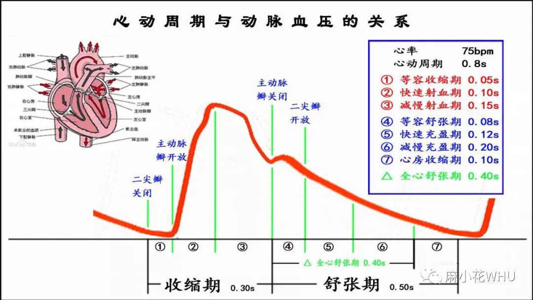 血氧波形图详解图片