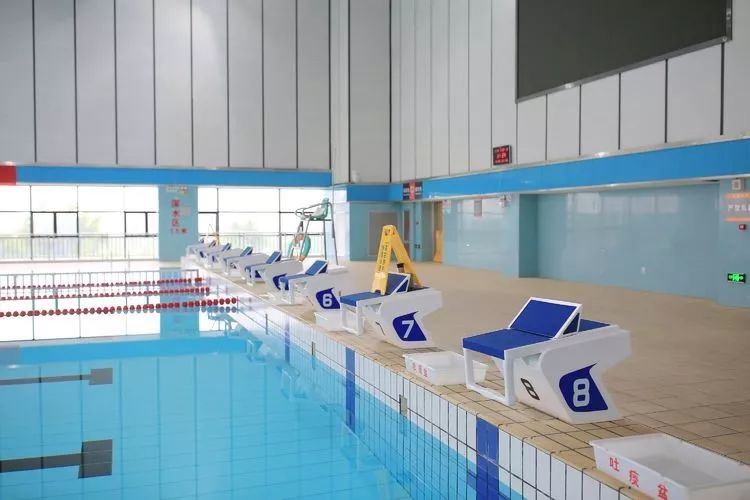 避暑好去处龙港体育馆游泳中心