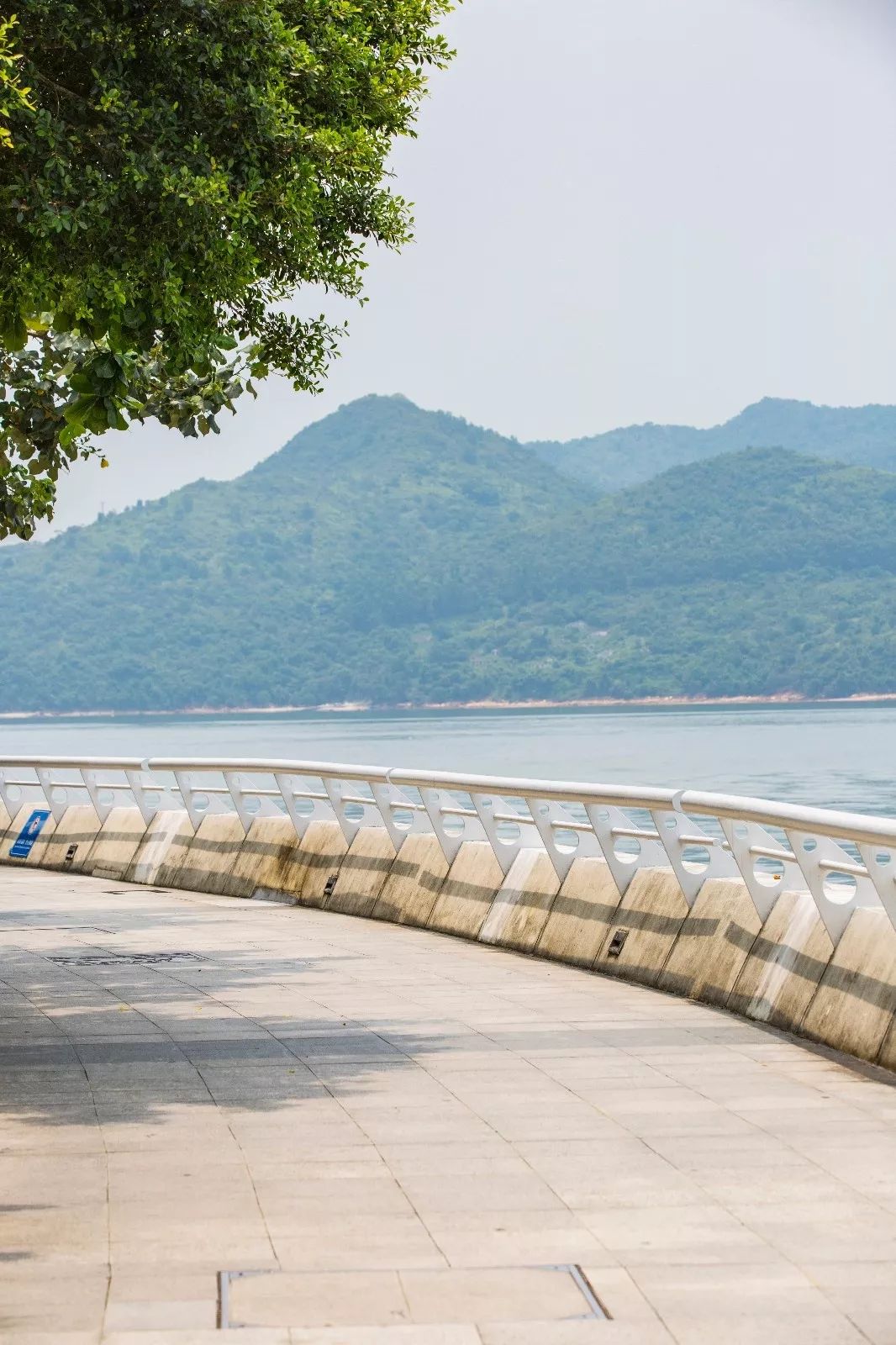 深圳小香港藏著世界第①長的海濱棧道