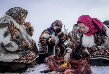 原创涅涅茨人:放牧北极,每个家庭有五六百头驯鹿