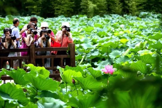 公園裡熱鬧的的兒童水上樂園,則是孩子們的天堂.