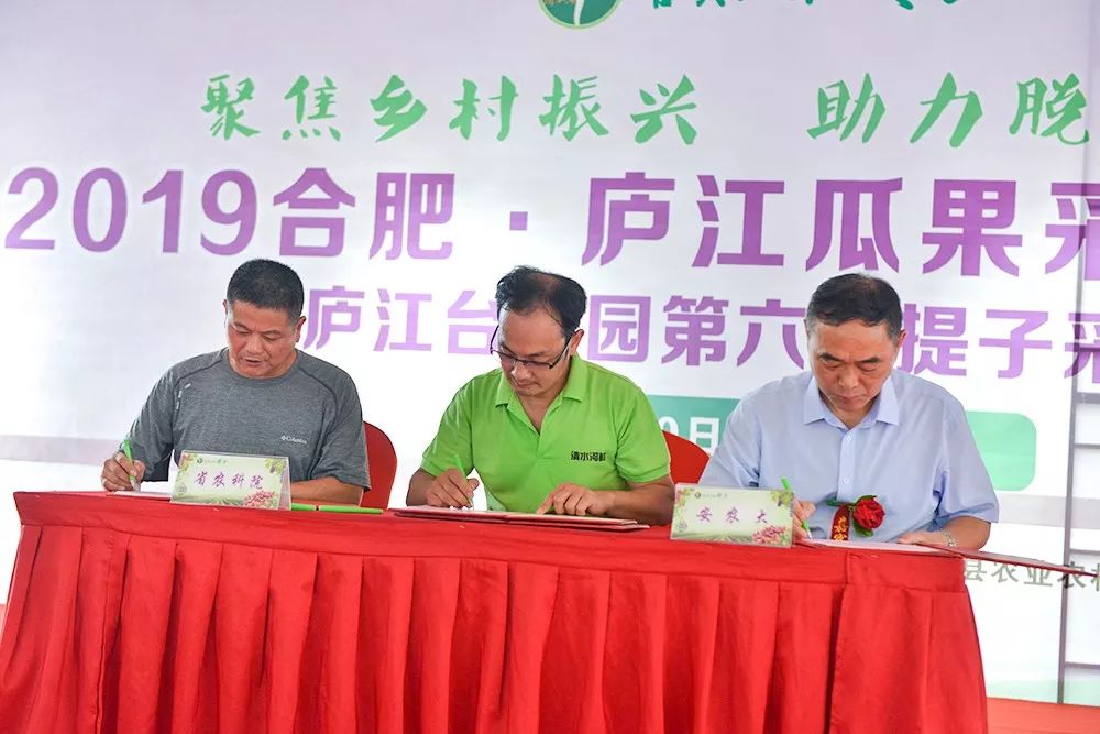 相约庐江果然很美台创园第六届提子采摘节盛大开幕啦