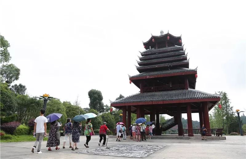 今天,玉屏茶花泉迎来北京上海广州武汉重庆游客