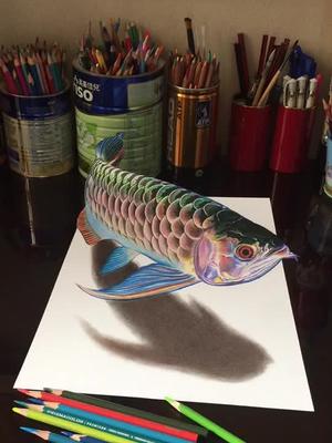 3d立体画彩铅金龙鱼